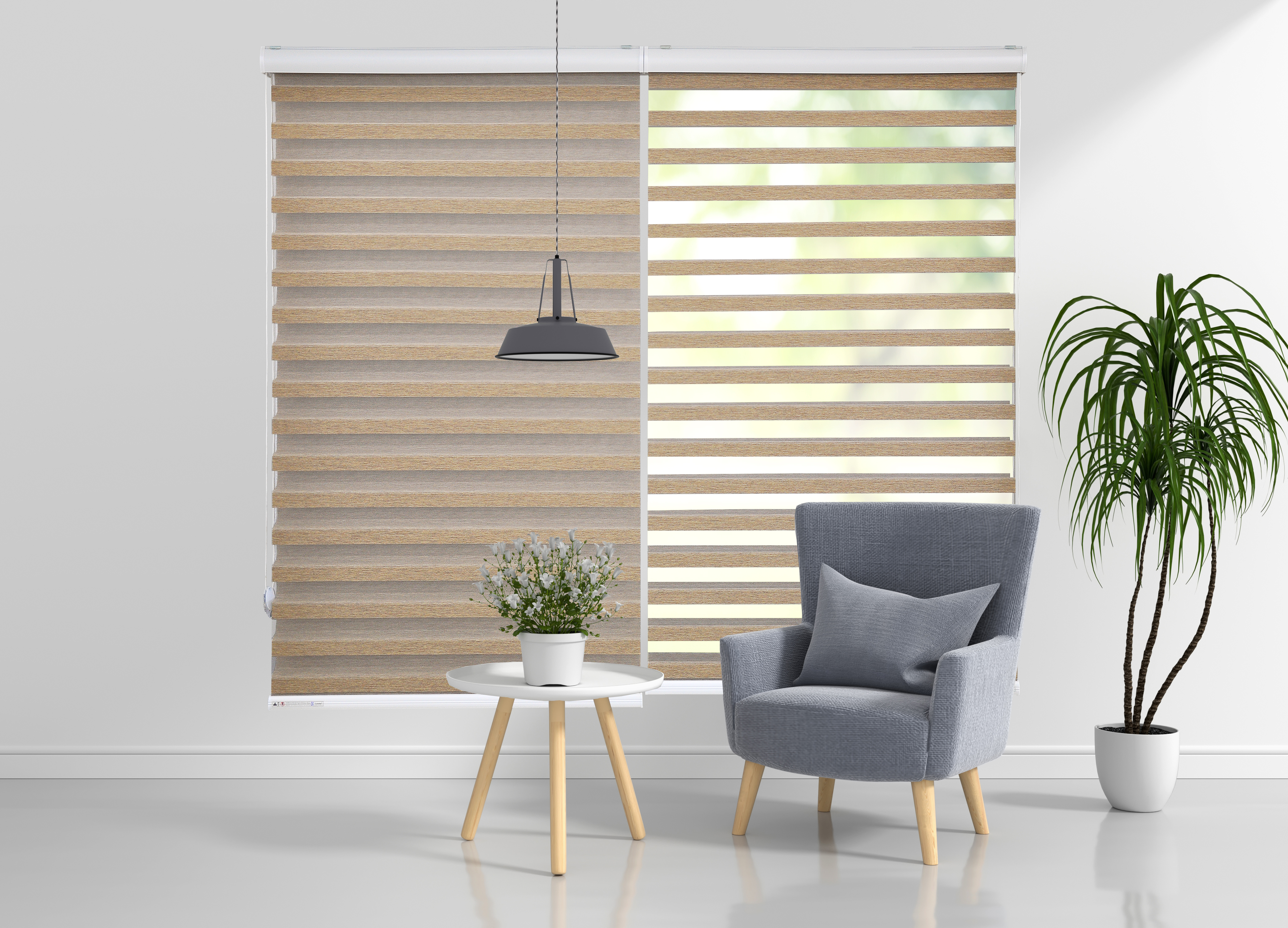 Zebra Blinds